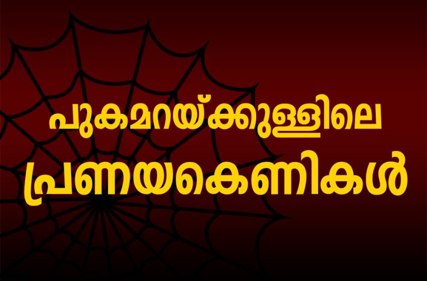  പുകമറയ്ക്കുള്ളിലെ പ്രണയകെണികൾ