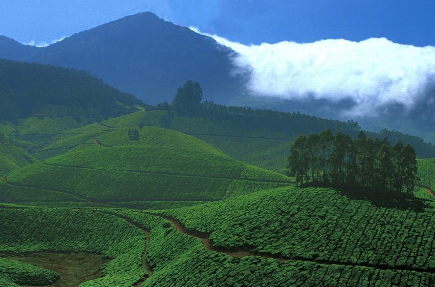  പരിസ്ഥിതി ദുർബ്ബല പ്രദേശം (ESA) ആറാം കരട് വിജ്ഞാപനം: വസ്തുതകളും ആശങ്കകളും