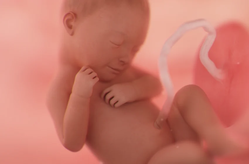  ജീവനെടുക്കാൻ അനുവദിക്കുന്ന നൈതികക്രൂരതകൾ